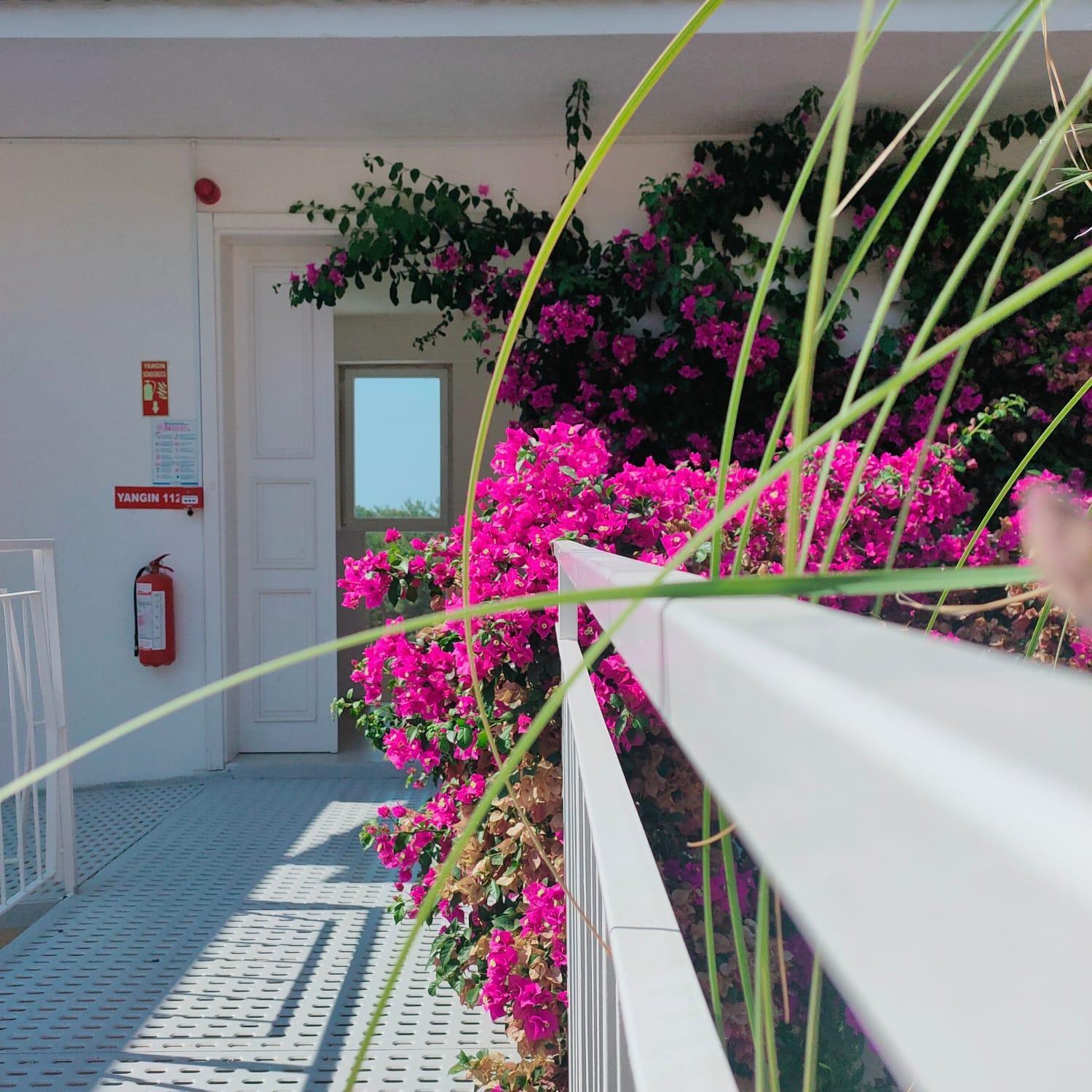 Faralya Tuz Apart Hotel Dış mekan fotoğraf
