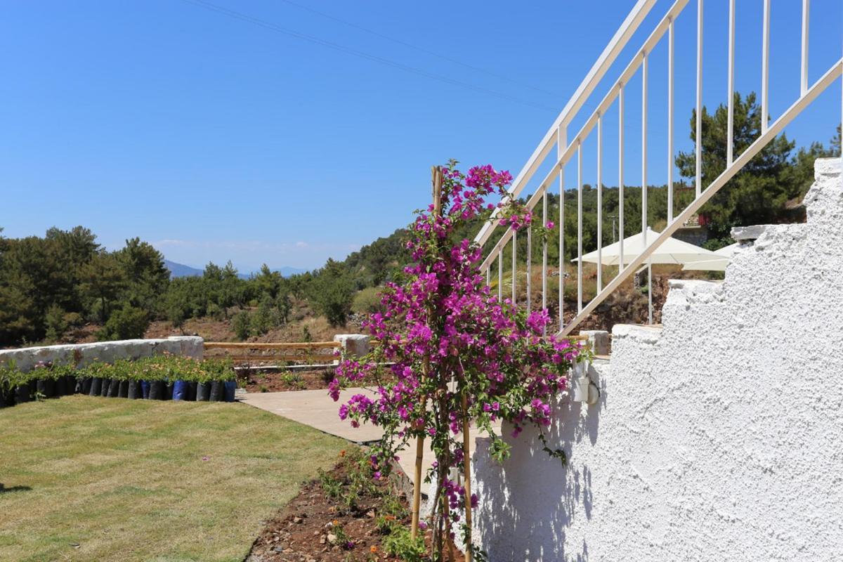 Faralya Tuz Apart Hotel Dış mekan fotoğraf